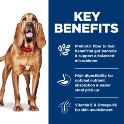 Hill's Science Diet Adult Sensitive Stomach & Skin Large Breed Chicken & Barley Recipe Dry Dog Food -Blue Buffalo Shop 215266 PT4. AC SS1800 V1635881499