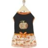 Frisco Pumpkin Patch Cutie Dog & Cat Dress -Blue Buffalo Shop 215784 MAIN. AC SS1800 V1632424571