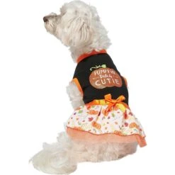 Frisco Pumpkin Patch Cutie Dog & Cat Dress -Blue Buffalo Shop 215784 PT3. AC SS1800 V1632430875