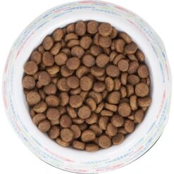 Frisco Colorful Fish Melamine Bowl -Blue Buffalo Shop 216047 PT4. AC SS1800 V1591020721