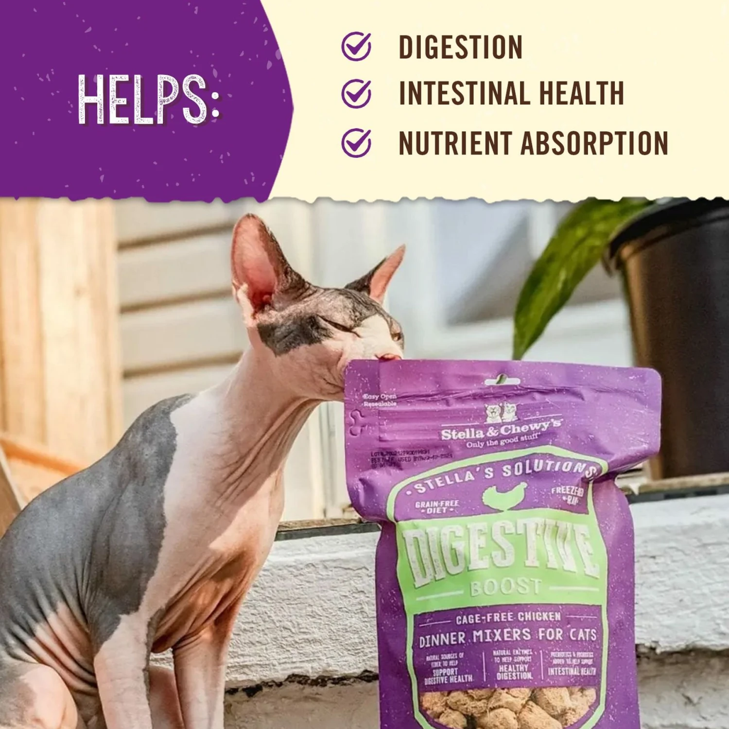 Stella & Chewy's Stella's Solutions Digestive Boost Chicken Freeze-Dried Raw Cat Food, 7.5-oz Bag 6 Stella & Chewy's Stella's Solutions Digestive Boost Chicken Freeze-Dried Raw Cat Food, 7.5-oz Bag - Image 4