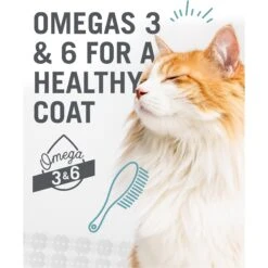 I And Love And You Naked Essentials Digestive Support Chicken And Pumpkin Recipe Dry Cat Food, 3.4-lb Bag -Blue Buffalo Shop 217319 PT7. AC SS1800 V1617837126