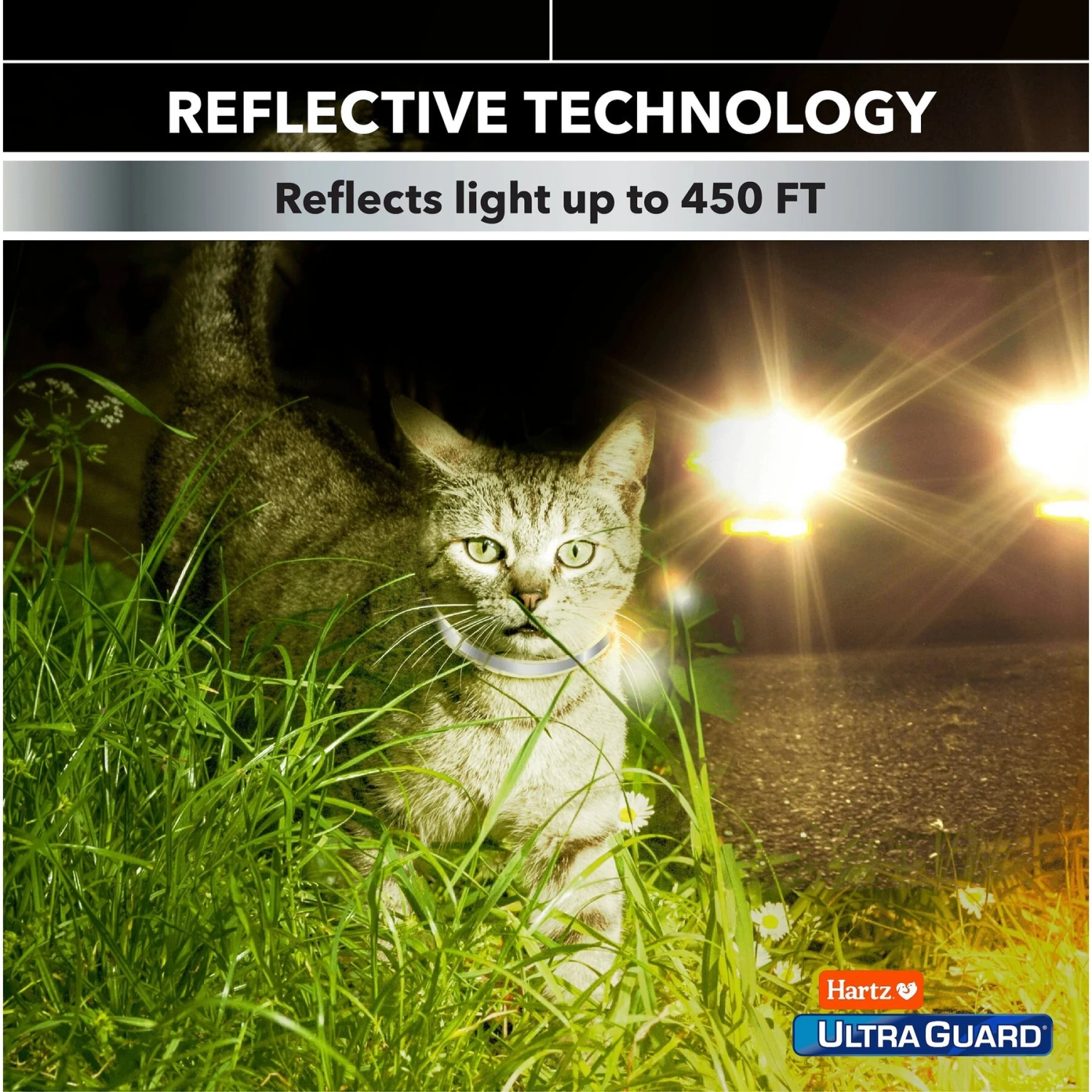 Hartz UltraGuard Pro Flea & Tick Collar For Cats 9 Hartz UltraGuard Pro Flea & Tick Collar For Cats - Image 7