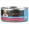 Purina Pro Plan Focus Adult Urinary Tract Health Formula With Salmon Classic Canned Cat Food 1 Purina Pro Plan Focus Adult Urinary Tract Health Formula With Salmon Classic Canned Cat Food -Blue Buffalo Shop 217727 MAIN. AC SS1800 V1634253731