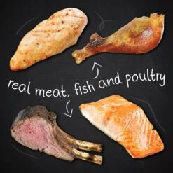 Hound & Gatos Grain-Free Cage Free Turkey Recipe Dry Cat Food 13 Hound & Gatos Grain-Free Cage Free Turkey Recipe Dry Cat Food -Blue Buffalo Shop 217774 PT3. AC SS1800 V1588770406