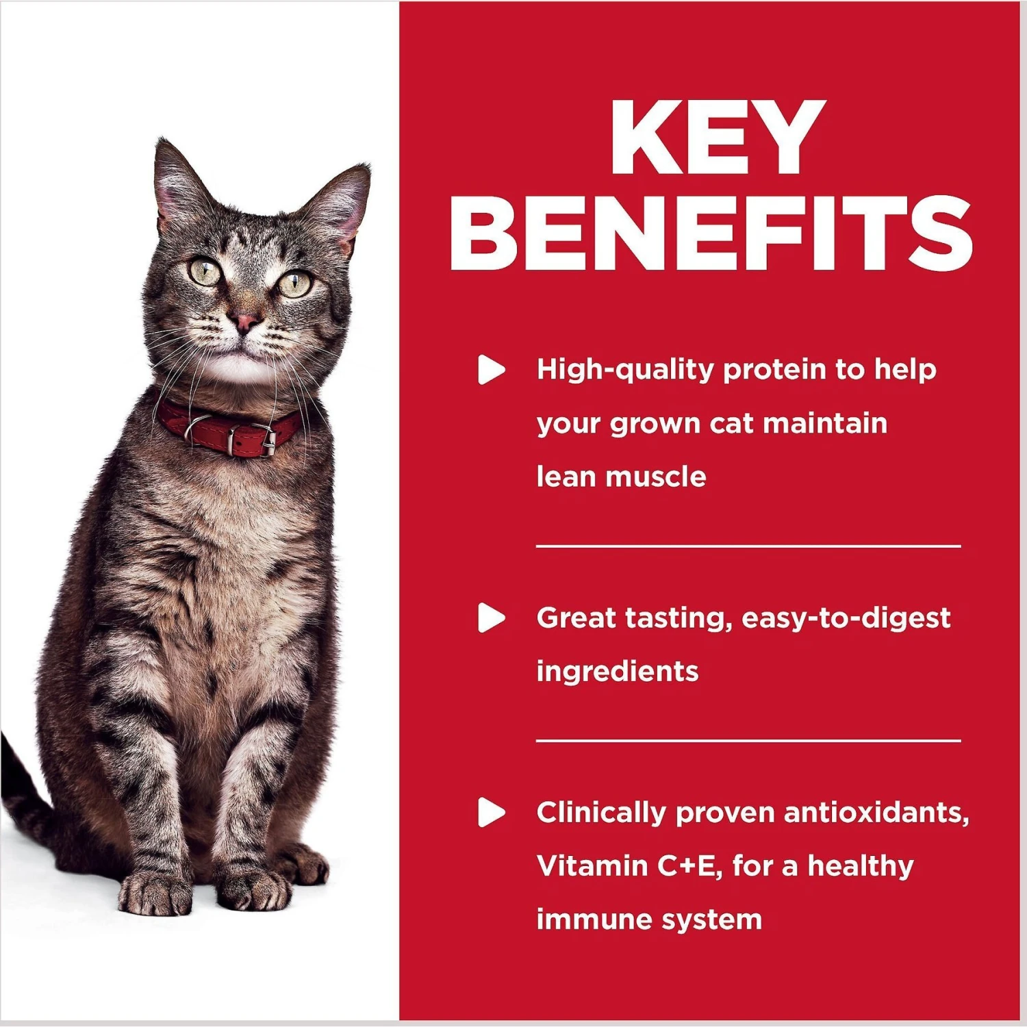 Hill's Science Diet Adult Tender Ocean Fish Recipe Cat Food, 2.8-oz Pouch, Case Of 24 7 Hill's Science Diet Adult Tender Ocean Fish Recipe Cat Food, 2.8-oz Pouch, Case Of 24 - Image 5