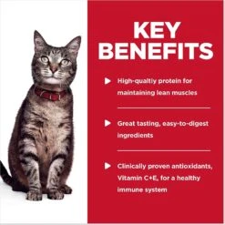 Hill's Science Diet Adult Turkey & Liver Casserole Recipe Cat Food, 2.8-oz Pouch, Case Of 24 -Blue Buffalo Shop 218069 PT4. AC SS1800 V1598144505