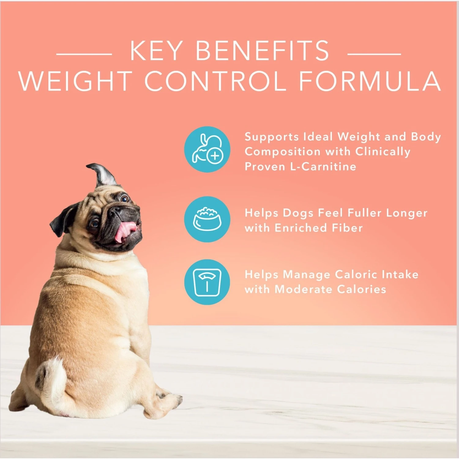 Blue Buffalo True Solutions Healthy Weight Natural Weight Control Chicken Adult Wet Dog Food 6 Blue Buffalo True Solutions Healthy Weight Natural Weight Control Chicken Adult Wet Dog Food - Image 4