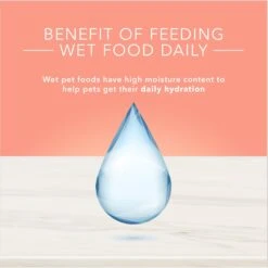 Blue Buffalo True Solutions Healthy Weight Natural Weight Control Chicken Adult Wet Dog Food 16 Blue Buffalo True Solutions Healthy Weight Natural Weight Control Chicken Adult Wet Dog Food -Blue Buffalo Shop 218278 PT6. AC SS1800 V1676653189