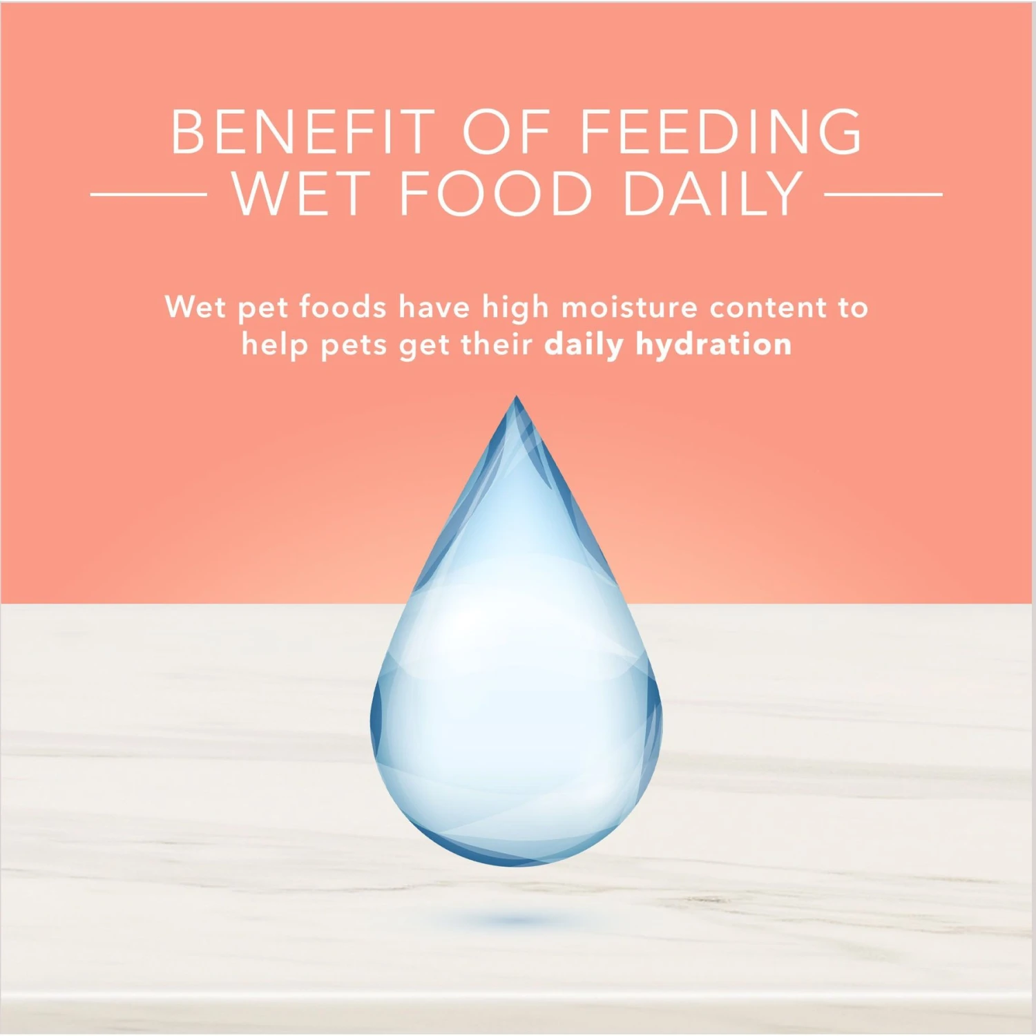 Blue Buffalo True Solutions Healthy Weight Natural Weight Control Chicken Adult Wet Dog Food 9 Blue Buffalo True Solutions Healthy Weight Natural Weight Control Chicken Adult Wet Dog Food - Image 7