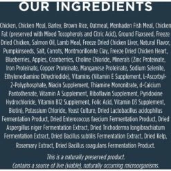 Instinct Raw Boost Puppy Whole Grain Real Chicken & Brown Rice Recipe Freeze-Dried Raw Coated Dry Dog Food 17 Instinct Raw Boost Puppy Whole Grain Real Chicken & Brown Rice Recipe Freeze-Dried Raw Coated Dry Dog Food -Blue Buffalo Shop 219423 PT6. AC SS1800 V1663713533