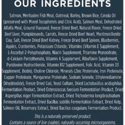 Instinct Raw Boost Whole Grain Real Salmon & Brown Rice Recipe Freeze-Dried Raw Coated Dry Dog Food -Blue Buffalo Shop 219432 PT5. AC SS1800 V1583521491