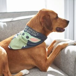 STAR WARS THE MANDALORIAN GROGU "Cutest Bounty" Reversible Dog & Cat Bandana 16 STAR WARS THE MANDALORIAN GROGU "Cutest Bounty" Reversible Dog & Cat Bandana -Blue Buffalo Shop 220290 PT7. AC SS1800 V1646442795