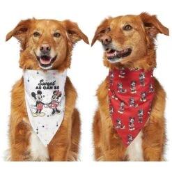 Disney Mickey Mouse & Minnie Mouse "Sweet As Can Be" Reversible Dog & Cat Bandana -Blue Buffalo Shop 220293 PT4. AC SS1800 V1637667456