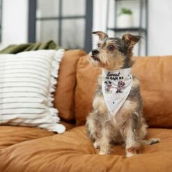 Disney Mickey Mouse & Minnie Mouse "Sweet As Can Be" Reversible Dog & Cat Bandana -Blue Buffalo Shop 220293 PT5. AC SS1800 V1637707356