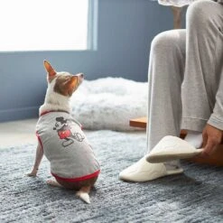 Disney Mickey Mouse & Minnie Mouse "Sweet As Can Be" Reversible Dog & Cat Bandana -Blue Buffalo Shop 220293 PT7. AC SS1800 V1633126030