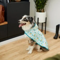 Disney Lightweight Flounder Print Dog & Cat Raincoat -Blue Buffalo Shop 220303 PT8. AC SS1800 V1646178839