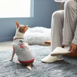 Disney Mickey Mouse Classic Dog & Cat T-shirt -Blue Buffalo Shop 220324 PT8. AC SS1800 V1646181474