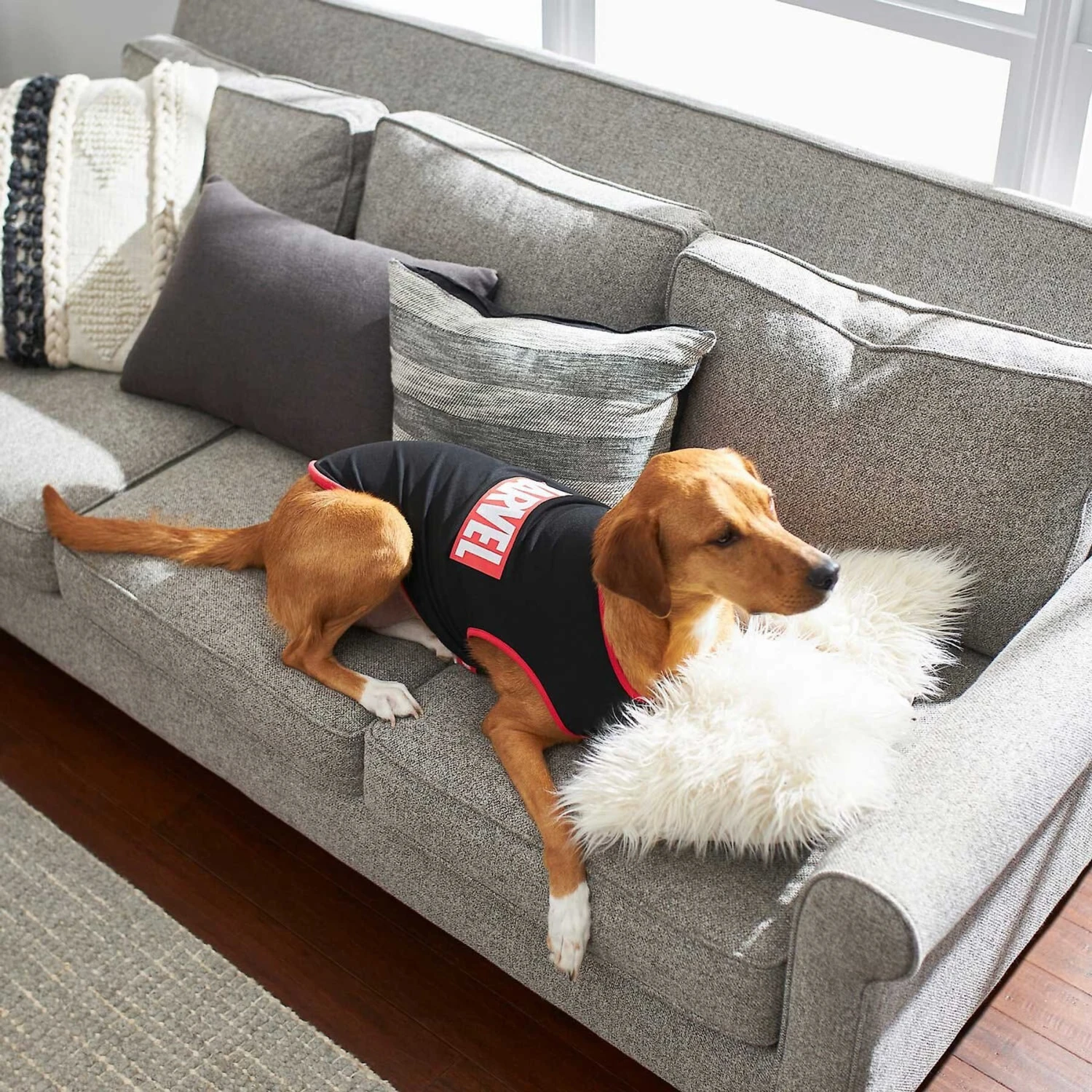 Marvel Logo Dog & Cat T-Shirt, Black 9 Marvel Logo Dog & Cat T-Shirt, Black - Image 7