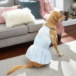 Disney Cinderella Satin Dog & Cat Dress -Blue Buffalo Shop 220352 PT5. AC SS1800 V1633127062