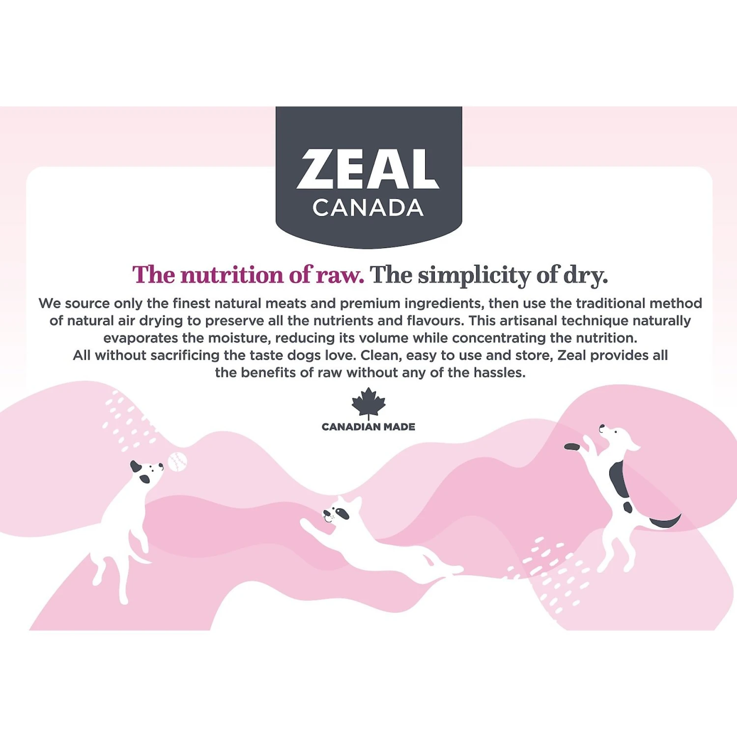 Zeal Canada Gently Turkey Recipe Grain-Free Air-Dried Dog Food 6 Zeal Canada Gently Turkey Recipe Grain-Free Air-Dried Dog Food - Image 4