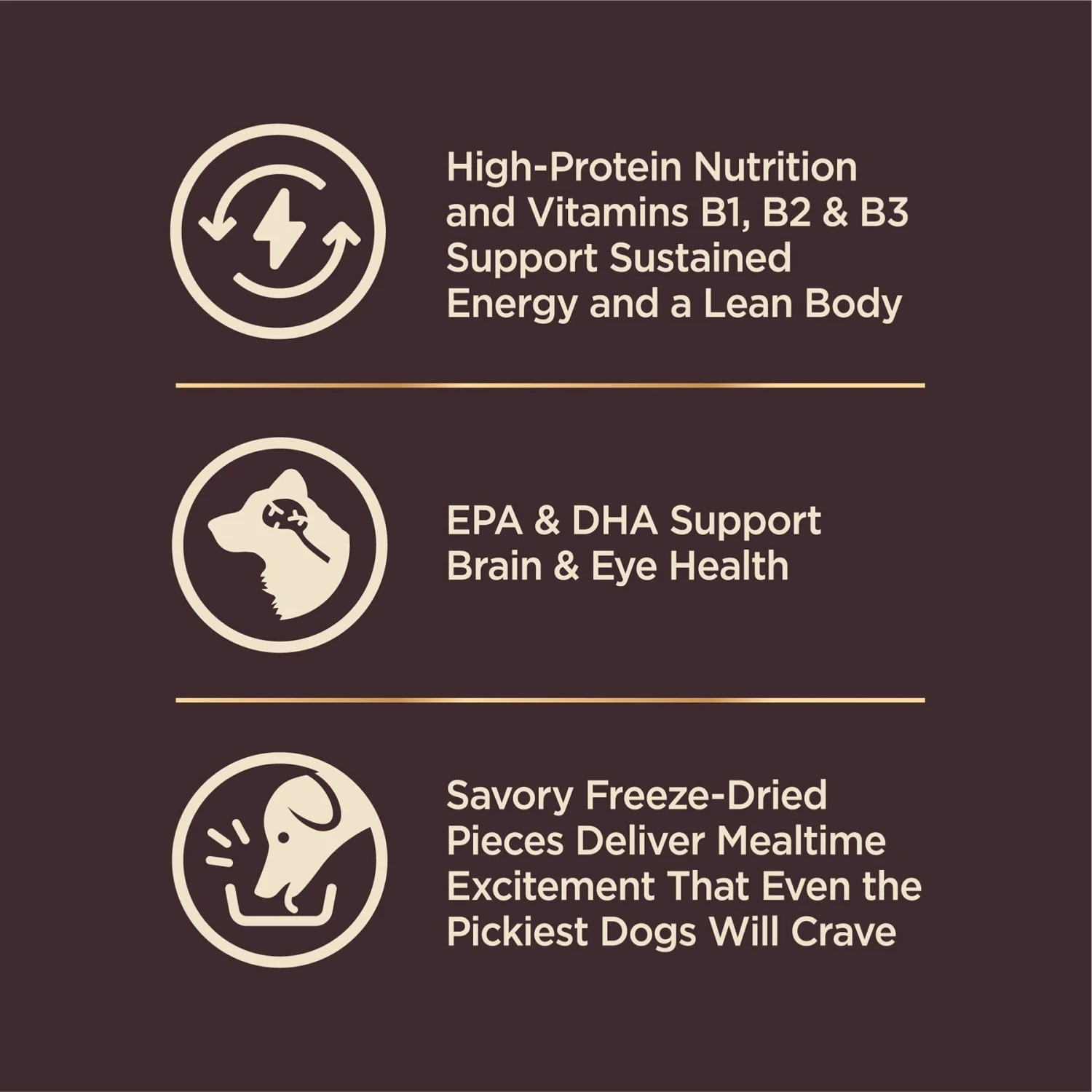 Wellness CORE RawRev Wholesome Grains Puppy Recipe High Protein Dry Dog Food 6 Wellness CORE RawRev Wholesome Grains Puppy Recipe High Protein Dry Dog Food - Image 4