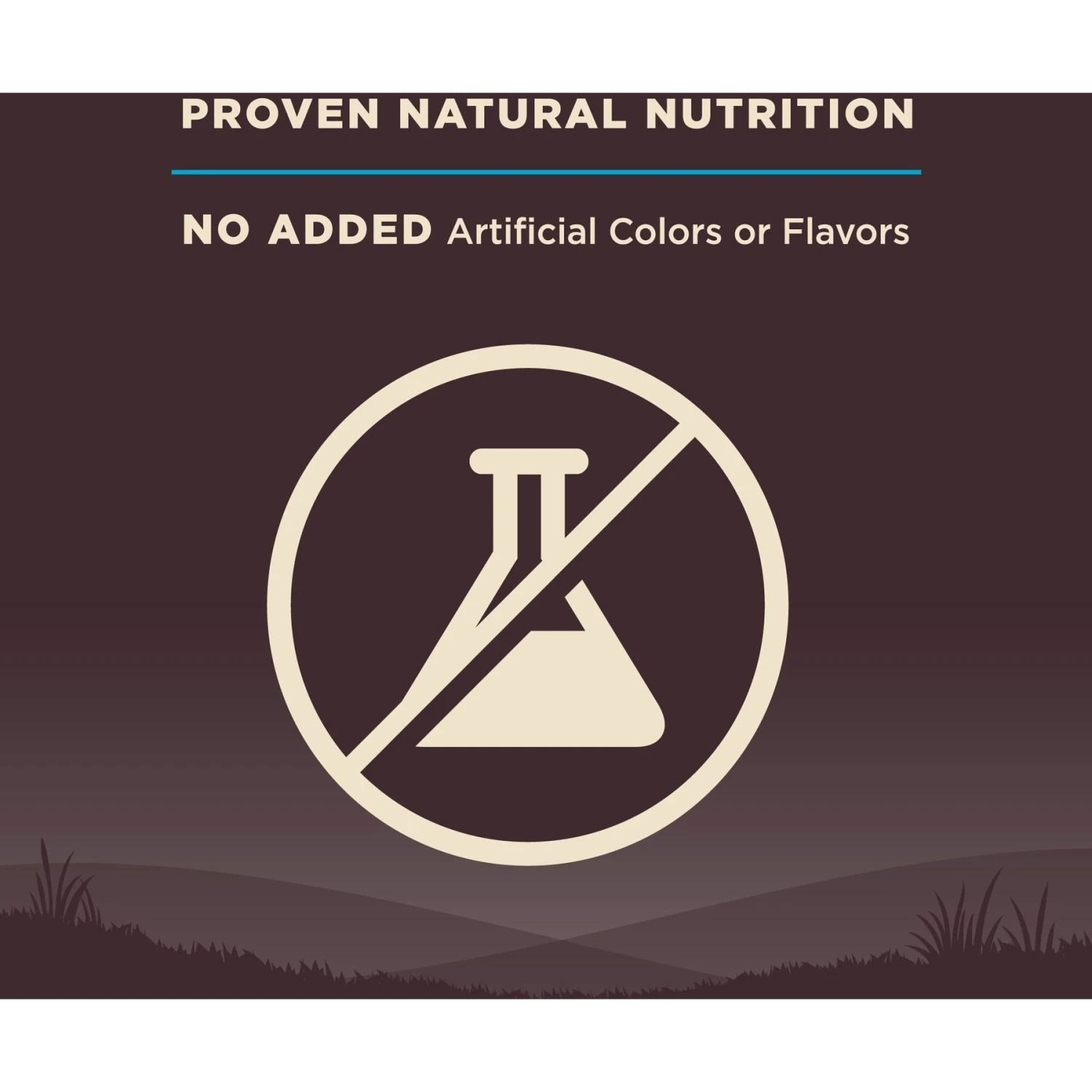 Wellness CORE Wholesome Grains Ocean Recipe High Protein Dry Dog Food 7 Wellness CORE Wholesome Grains Ocean Recipe High Protein Dry Dog Food - Image 5