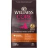 Wellness CORE Wholesome Grains Small Breed Original Recipe High Protein Dry Dog Food -Blue Buffalo Shop 222323 MAIN. AC SS1800 V1585146356