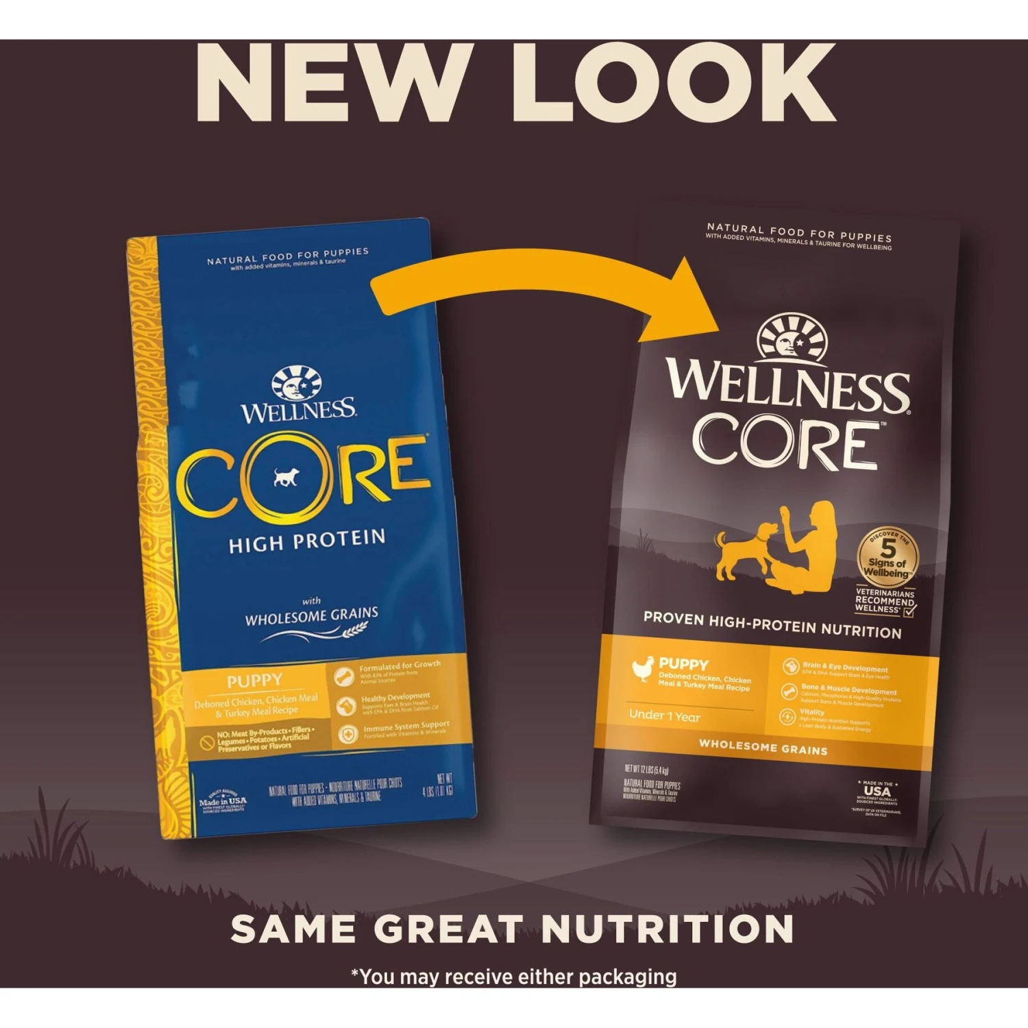 Wellness CORE Wholesome Grains Puppy High Protein Dry Dog Food 4 Wellness CORE Wholesome Grains Puppy High Protein Dry Dog Food - Image 2