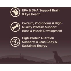 Wellness CORE Wholesome Grains Puppy High Protein Dry Dog Food 11 Wellness CORE Wholesome Grains Puppy High Protein Dry Dog Food -Blue Buffalo Shop 222326 PT2. AC SS1800 V1677612891