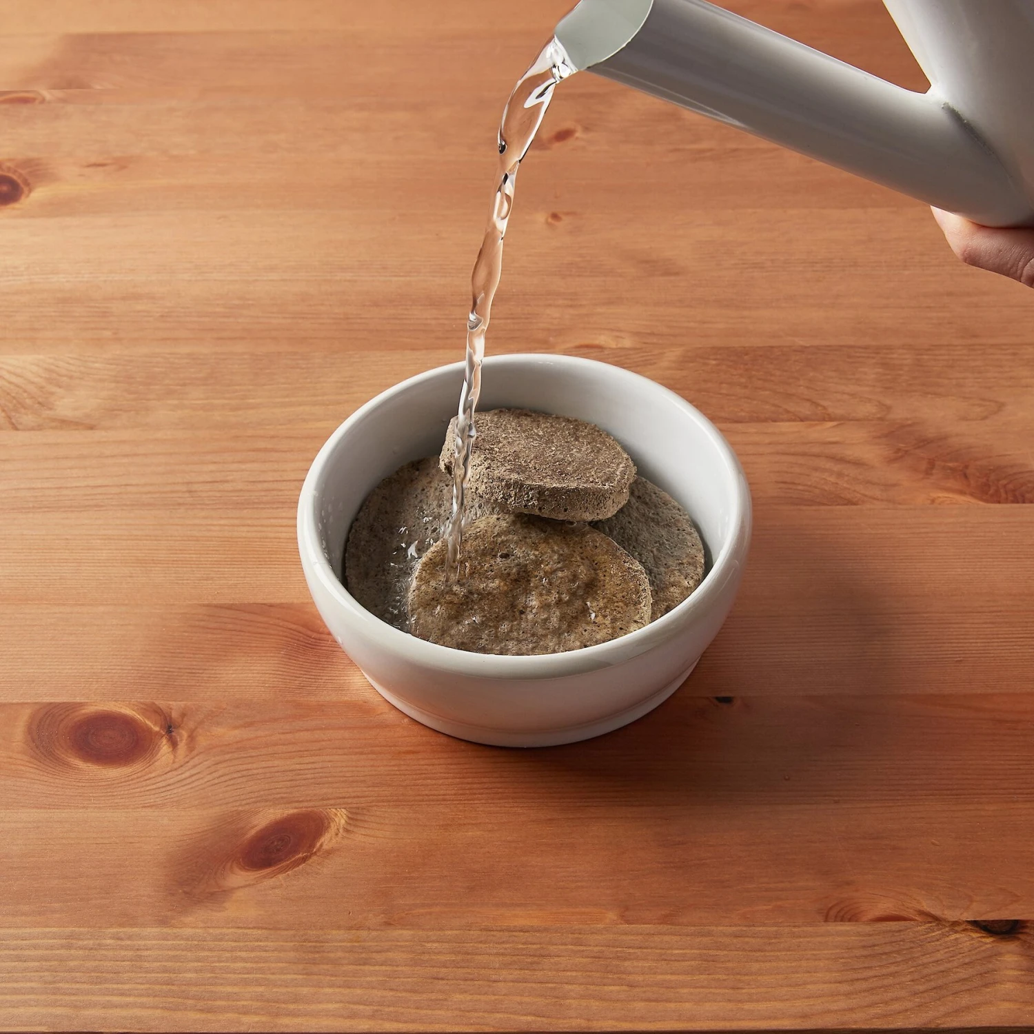 Tylee's Freeze-Dried Meals For Dogs, Beef Recipe 8 Tylee's Freeze-Dried Meals For Dogs, Beef Recipe - Image 6