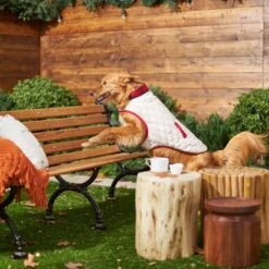 Frisco Quilted Water-Resistant Reversible Insulated Dog & Cat Jacket -Blue Buffalo Shop 223922 PT7. AC SS1800 V1601579158