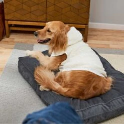 Frisco Plush Fur Dog & Cat Hoodie -Blue Buffalo Shop 224209 PT7. AC SS1800 V1637685435