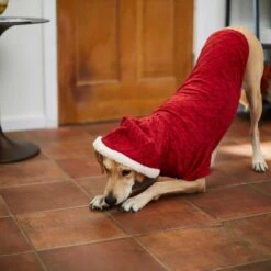 Frisco Textured Knit Dog & Cat Hoodie -Blue Buffalo Shop 224233 PT6. AC SS1800 V1637729542