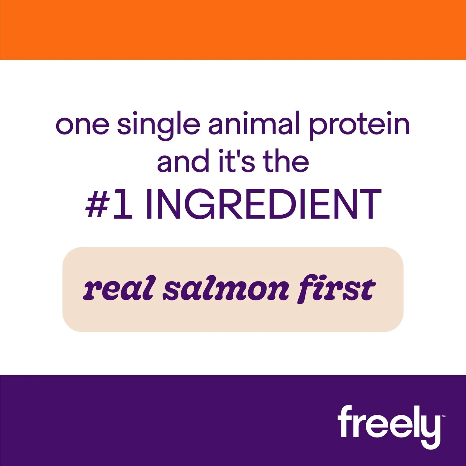 Freely Salmon Recipe Limited Ingredient Grain-Free Wet Supplement Dog Food Topper 4 Freely Salmon Recipe Limited Ingredient Grain-Free Wet Supplement Dog Food Topper - Image 2