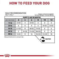 Royal Canin Veterinary Diet Puppy Gastrointestinal Ultra Soft Mousse In Sauce Canned Dog Food 16 Royal Canin Veterinary Diet Puppy Gastrointestinal Ultra Soft Mousse In Sauce Canned Dog Food -Blue Buffalo Shop 228175 PT5. AC SS1800 V1692217025