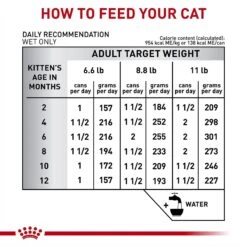 Royal Canin Veterinary Diet Kitten Gastrointestinal Ultra Soft Mousse In Sauce Canned Cat Food 16 Royal Canin Veterinary Diet Kitten Gastrointestinal Ultra Soft Mousse In Sauce Canned Cat Food -Blue Buffalo Shop 228177 PT6. AC SS1800 V1691438213