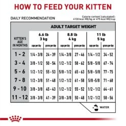 Royal Canin Veterinary Diet Kitten Gastrointestinal Dry Cat Food 18 Royal Canin Veterinary Diet Kitten Gastrointestinal Dry Cat Food -Blue Buffalo Shop 228179 PT7. AC SS1800 V1691438121