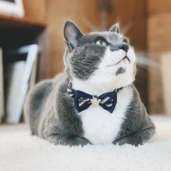 Necoichi Regal Crown Cotton Breakaway Cat Collar With Bell 17 Necoichi Regal Crown Cotton Breakaway Cat Collar With Bell -Blue Buffalo Shop 230669 PT7. AC SS1800 V1631311933