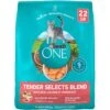 Purina ONE Tender Selects Blend With Real Salmon Dry Cat Food 2 Purina ONE Tender Selects Blend With Real Salmon Dry Cat Food -Blue Buffalo Shop 231097 MAIN. AC SS1800 V1677511472