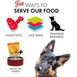 Grandma Lucy's Pumpkin Pouch Inflammation Freeze-Dried Dog & Cat Food Topper, 6-oz Bag 15 Grandma Lucy's Pumpkin Pouch Inflammation Freeze-Dried Dog & Cat Food Topper, 6-oz Bag -Blue Buffalo Shop 234286 PT5. AC SS1800 V1676648055