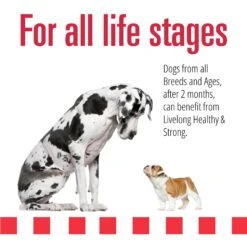 Livelong Healthy & Strong Lamb, Beef & Sweet Potato Recipe Wet Dog Food, 12.5-oz Can, Case Of 12 -Blue Buffalo Shop 235064 PT3. AC SS1800 V1589915475