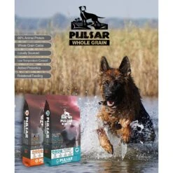 Horizon Pulsar Whole Grain Pork Recipe Dry Dog Food 14 Horizon Pulsar Whole Grain Pork Recipe Dry Dog Food -Blue Buffalo Shop 235342 PT3. AC SS1800 V1607995364
