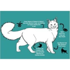 Chicken Soup For The Soul Classic Salmon & Brown Rice Recipe Adult Cat Dry Food 15 Chicken Soup For The Soul Classic Salmon & Brown Rice Recipe Adult Cat Dry Food -Blue Buffalo Shop 236301 PT4. AC SS1800 V1694726369