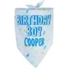 Frisco Birthday Boy Personalized Dog & Cat Bandana -Blue Buffalo Shop 238329 MAIN. AC SS1800 V1597896415