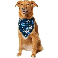 Frisco Hanukkah Personalized Dog & Cat Bandana -Blue Buffalo Shop 242799 PT6. AC SS1800 V1618511253