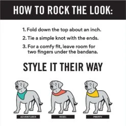 Frisco Peppermint Personalized Dog & Cat Bandana 12 Frisco Peppermint Personalized Dog & Cat Bandana -Blue Buffalo Shop 242807 PT2. AC SS1800 V1618510612