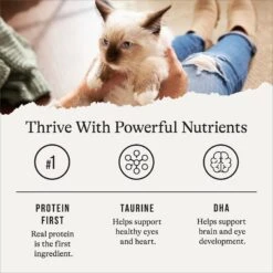 American Journey Kitten Pate Chicken Recipe Grain-Free Canned Cat Food, 3-oz, Case Of 24 -Blue Buffalo Shop 242872 PT5. AC SS1800 V1689951384