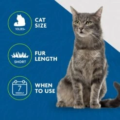 FURminator Short Hair Cat Deshedding Tool 16 FURminator Short Hair Cat Deshedding Tool -Blue Buffalo Shop 243254 PT5. AC SS1800 V1701116729