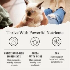 American Journey Kitten Chicken Recipe Grain-Free Dry Cat Food, 5-lb Bag 15 American Journey Kitten Chicken Recipe Grain-Free Dry Cat Food, 5-lb Bag -Blue Buffalo Shop 243722 PT4. AC SS1800 V1668736254